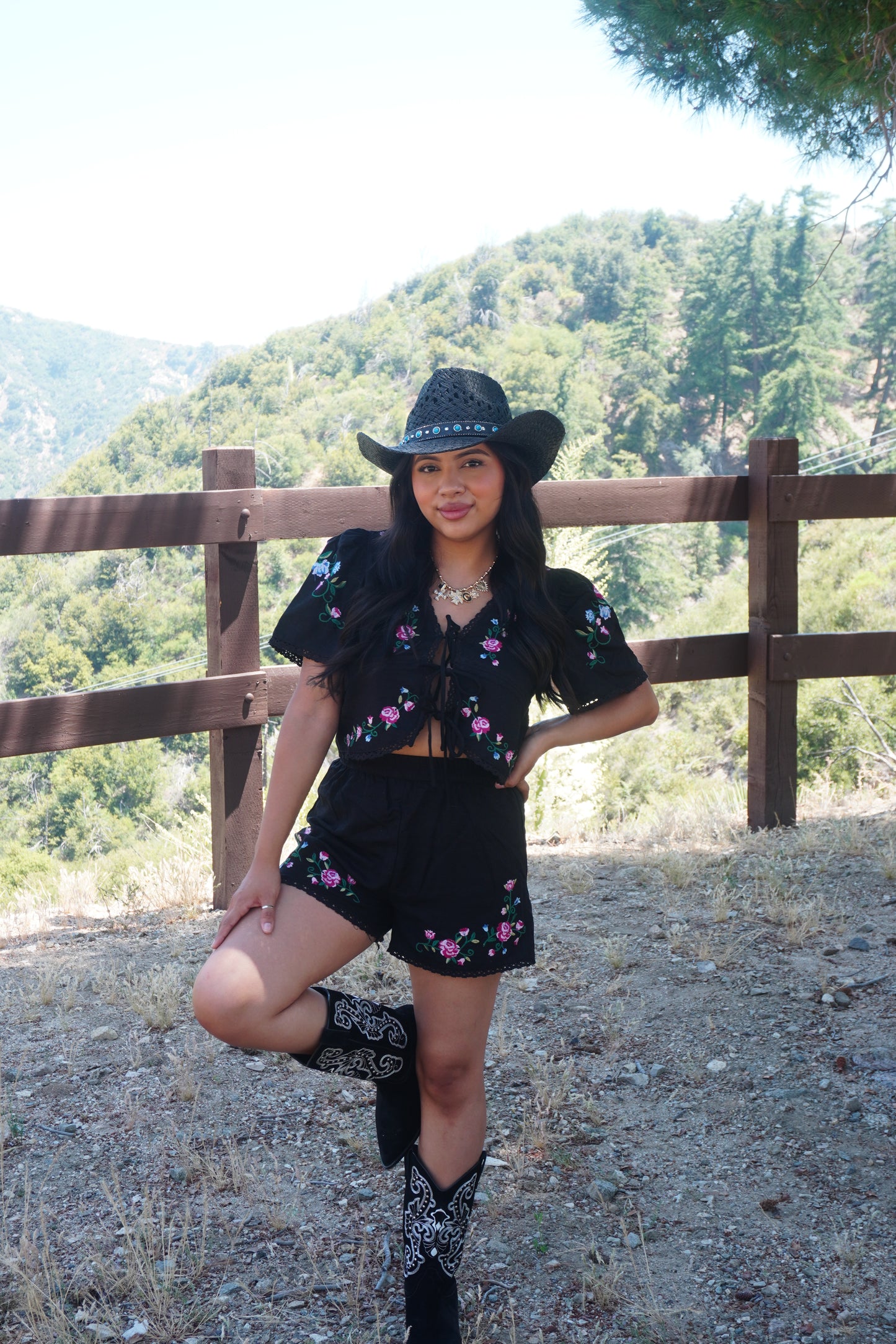Bailey top (Top only)