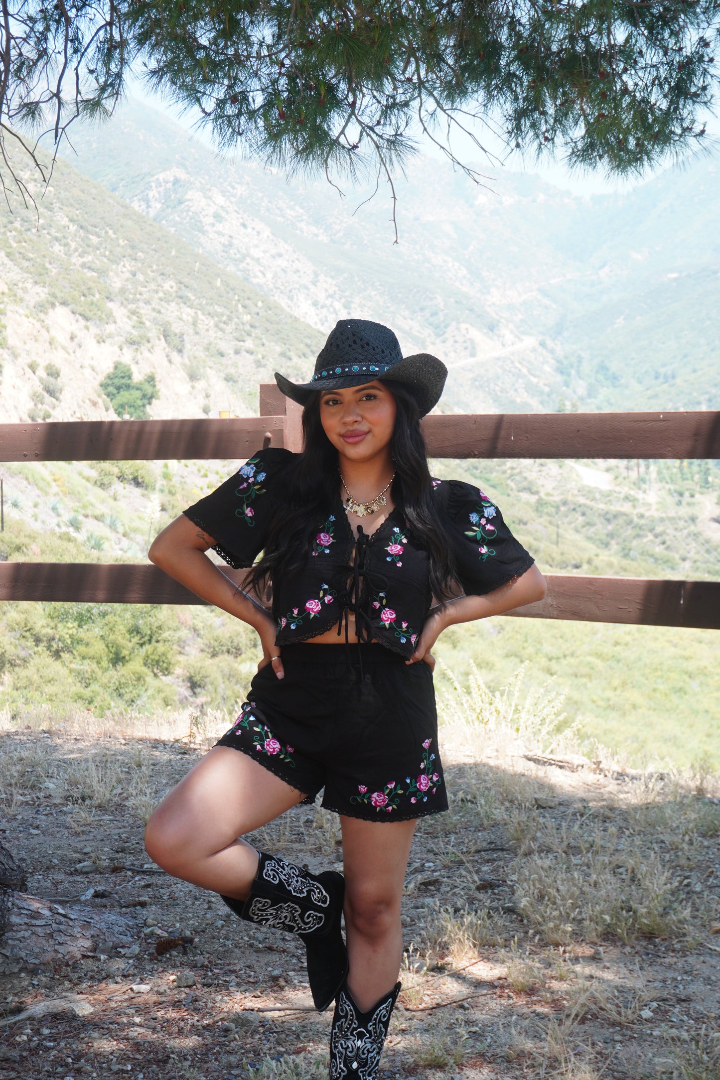 Bailey top (Top only)